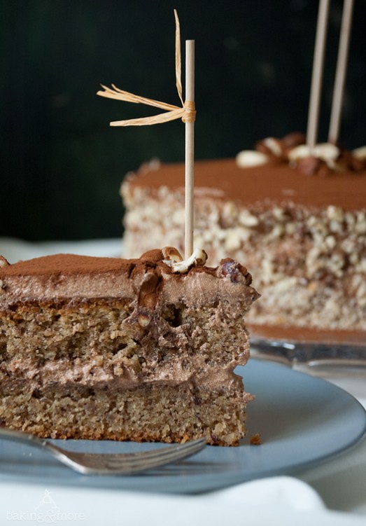 kuchen, cake, nut, nuss, torte, törtchen, schoko, kakao, chocolate, cocoa, maple syrup, ahornsirup