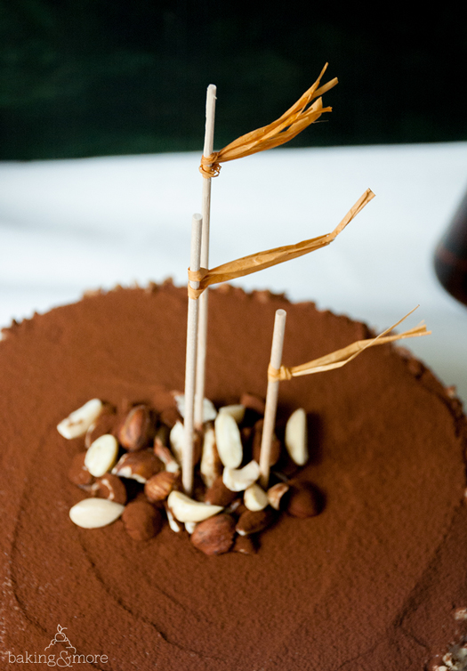 kuchen, cake, nut, nuss, torte, törtchen, schoko, kakao, chocolate, cocoa, maple syrup, ahornsirup