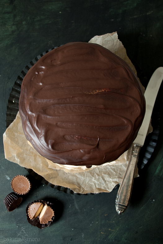Cheesecake-Schokoladentorte mit Erdnuss und Karamell