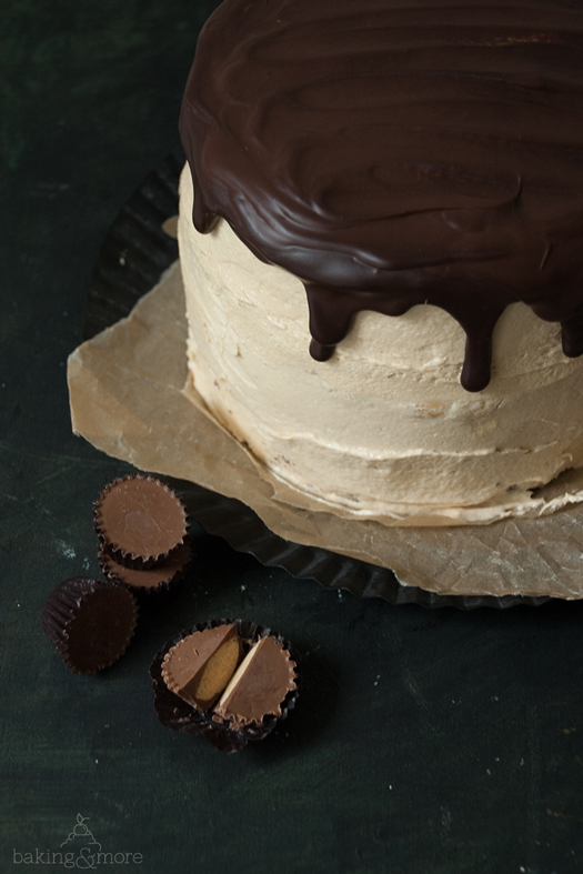 Cheesecake-Schokoladentorte mit Erdnuss und Karamell